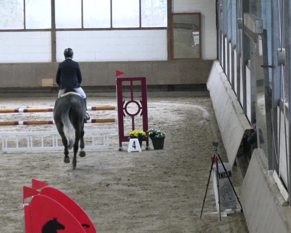 Reitturnier Langenfeld - Gut Landfort 2023