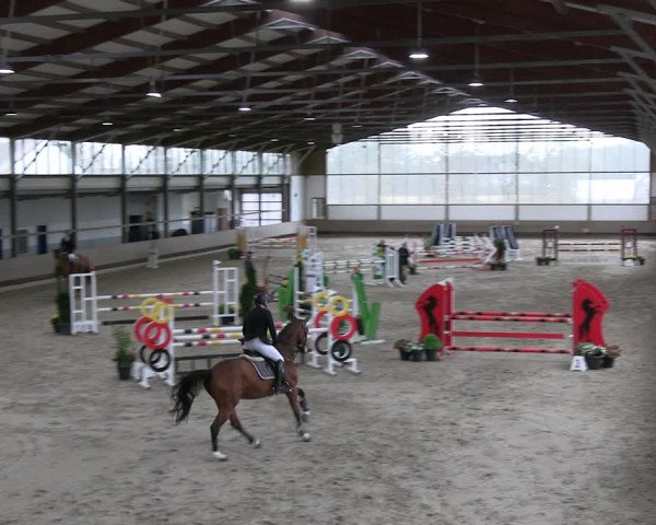 Reitturnier Langenfeld - Gut Landfort 2023