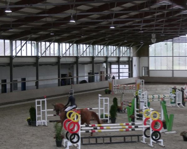 Reitturnier Langenfeld - Gut Landfort 2023