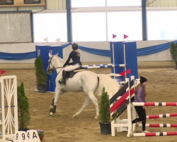 Reitturnier Buchs 2021