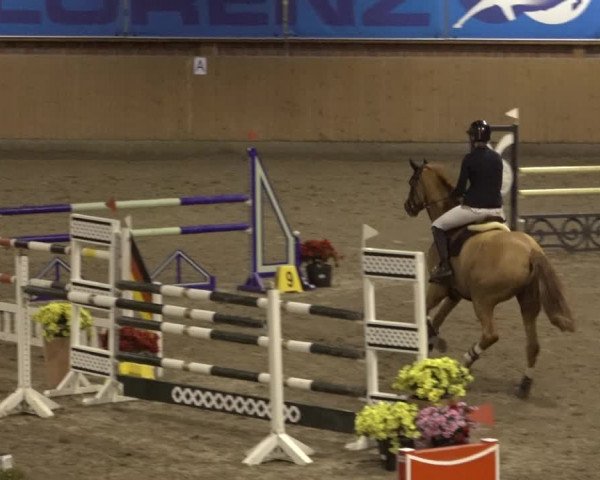 Reitturnier Osterholz 2023