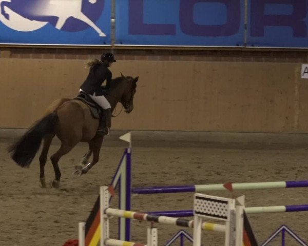 Reitturnier Osterholz 2023