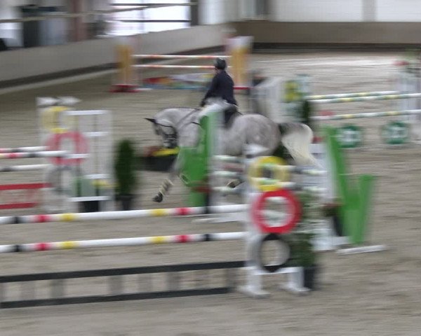 Reitturnier Langenfeld - Gut Landfort 2023