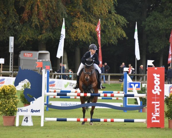 jumper Hahiti (Belgian Riding Pony, 2003, from Kantje's Korporaal)