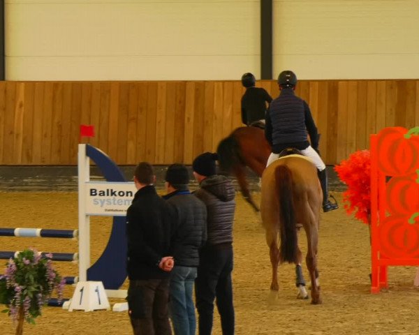Reitturnier Zwickau 2023