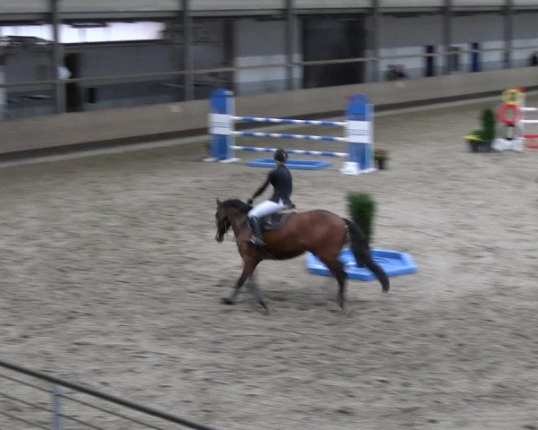 Reitturnier Langenfeld - Gut Landfort 2023