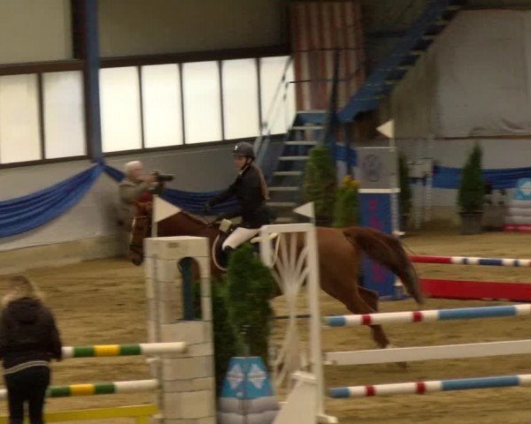Reitturnier Buchs 2021