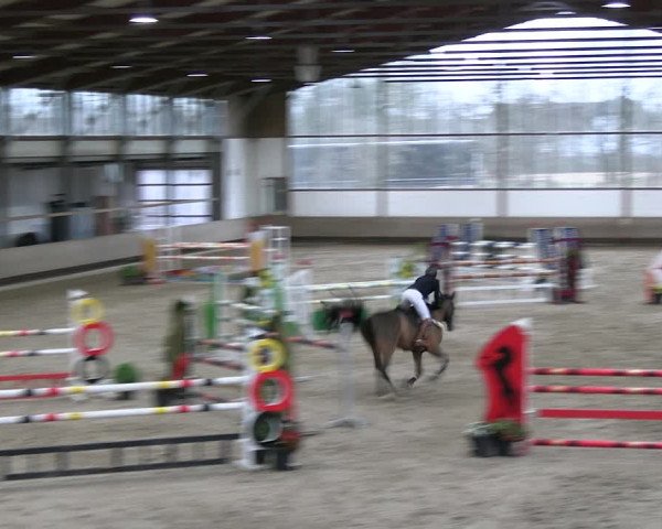 Reitturnier Langenfeld - Gut Landfort 2023