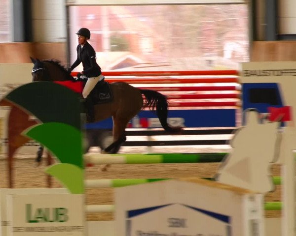 Reitturnier Zwickau 2023