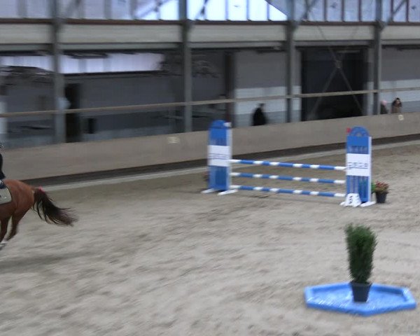 Reitturnier Langenfeld - Gut Landfort 2023