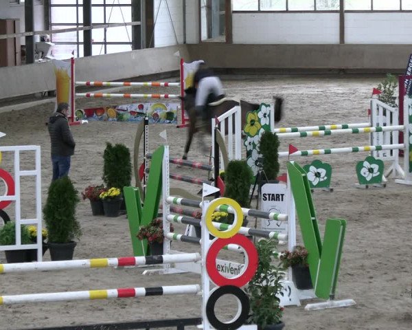 Reitturnier Langenfeld - Gut Landfort 2023
