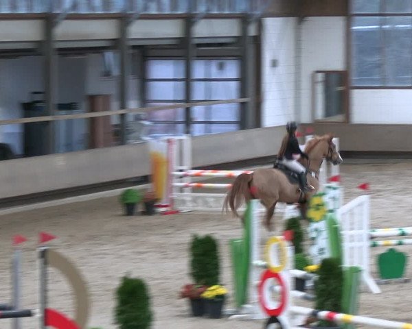 Reitturnier Langenfeld - Gut Landfort 2023