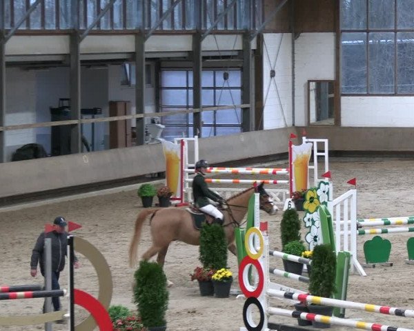 Reitturnier Langenfeld - Gut Landfort 2023