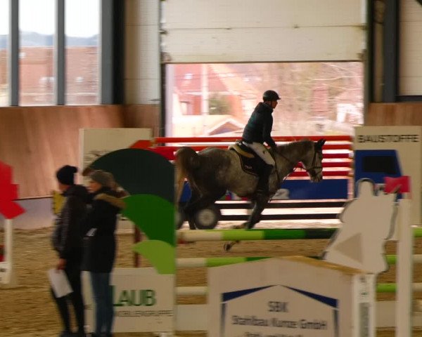 Reitturnier Zwickau 2023