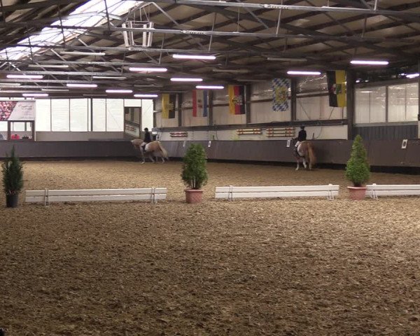 Reitturnier Bochum-Nord 2023