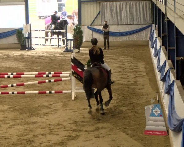 Reitturnier Buchs 2021