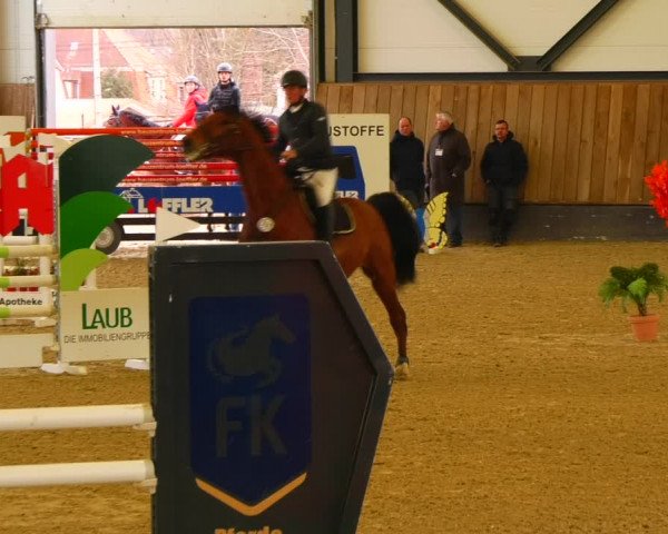 Reitturnier Zwickau 2023