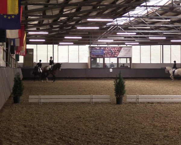 Reitturnier Bochum-Nord 2023