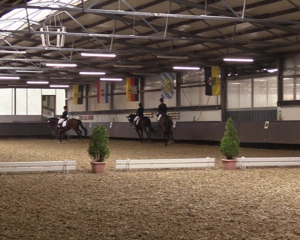 Reitturnier Bochum-Nord 2023