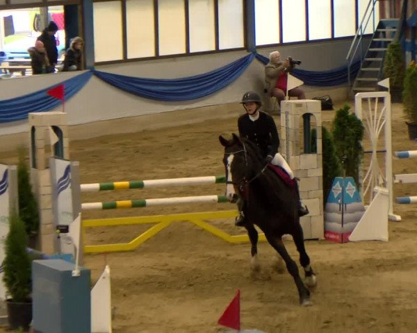 Reitturnier Buchs 2021