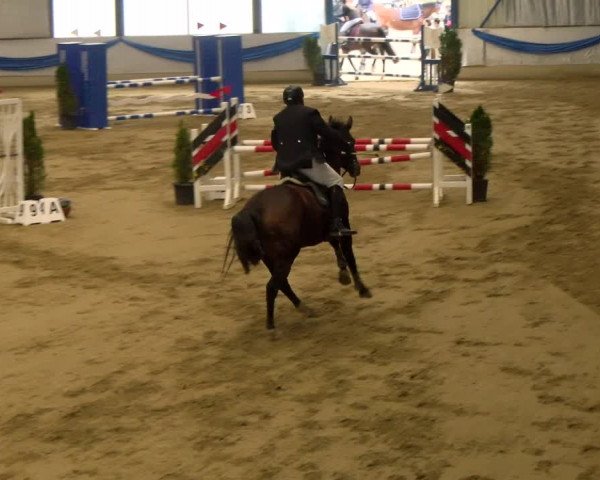 Reitturnier Buchs 2021