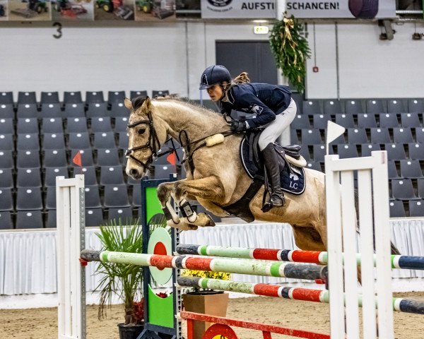 jumper Steendieks Clein Catoki (German Riding Pony, 2015, from Steendieks Cream of Glory)
