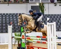 jumper Steendieks Clein Catoki (German Riding Pony, 2015, from Steendieks Cream of Glory)