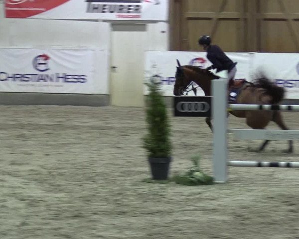 8. Nordic Jumping event Negernbötel 2023