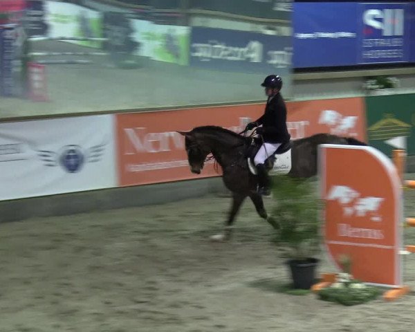 8. Nordic Jumping event Negernbötel 2023
