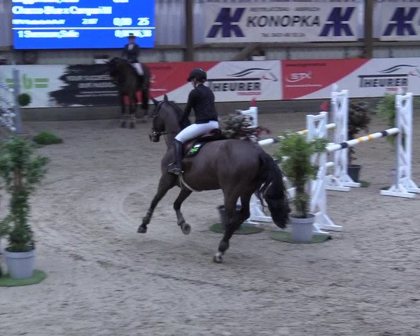 8. Nordic Jumping event Negernbötel 2023