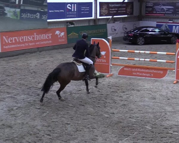 8. Nordic Jumping event Negernbötel 2023