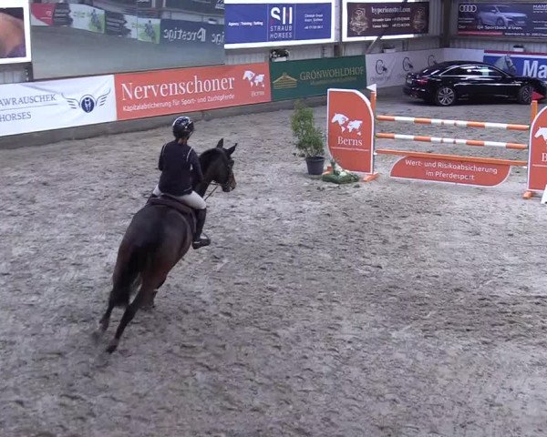 8. Nordic Jumping event Negernbötel 2023