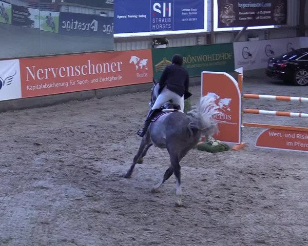 8. Nordic Jumping event Negernbötel 2023