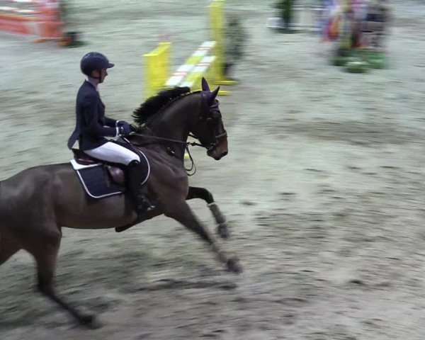 8. Nordic Jumping event Negernbötel 2023