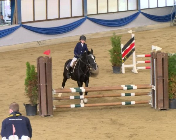 Reitturnier Buchs 2021