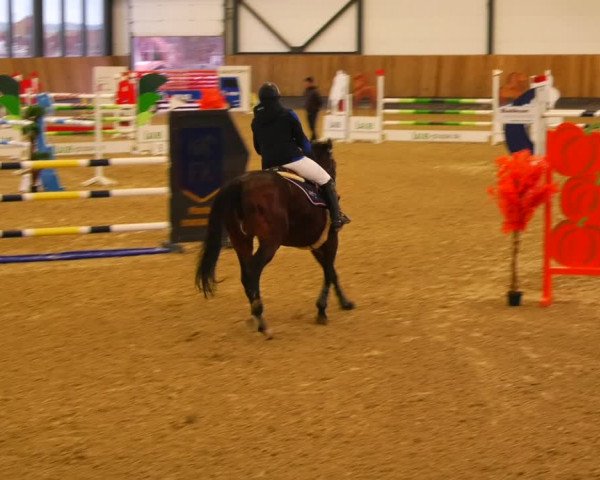 Reitturnier Zwickau 2023
