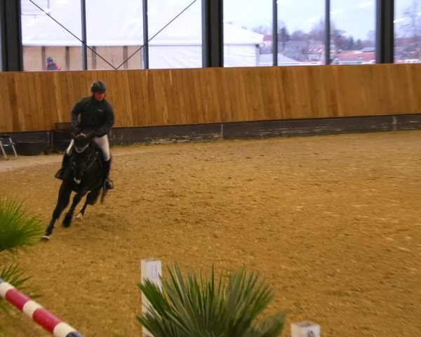 Reitturnier Zwickau 2023