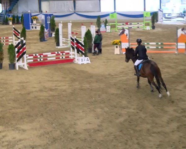 Reitturnier Buchs 2021