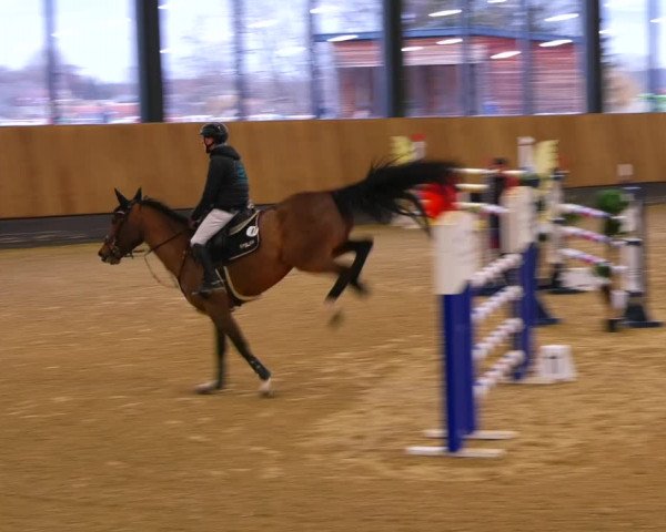 Reitturnier Zwickau 2023