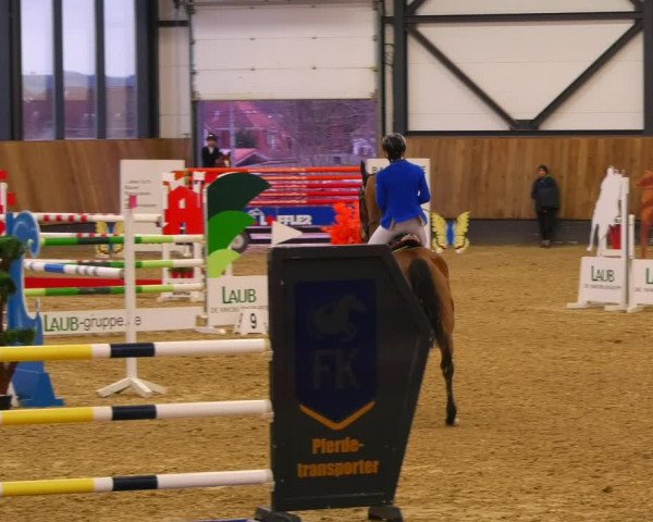 Reitturnier Zwickau 2023