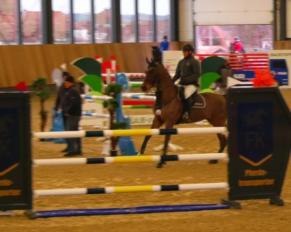 Reitturnier Zwickau 2023
