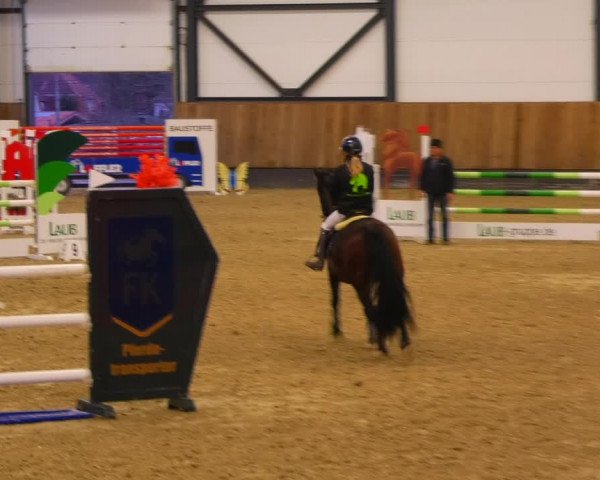 Reitturnier Zwickau 2023
