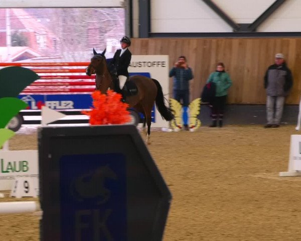 Reitturnier Zwickau 2023