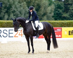dressage horse Donna Bella Db (Westphalian, 2016, from Dantano)