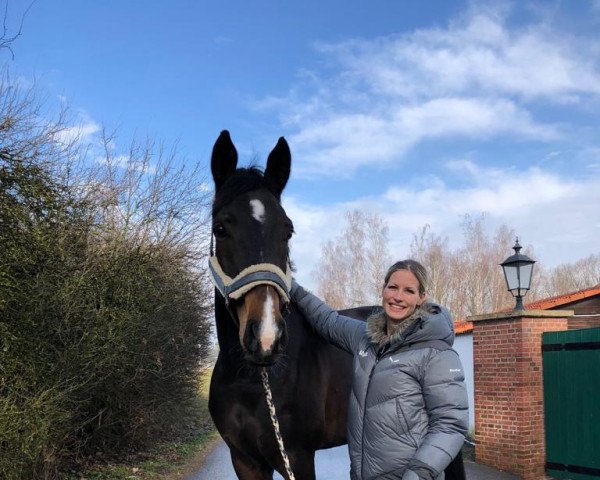 horse Gigi Gold (Oldenburg, 2015, from Goldberg)