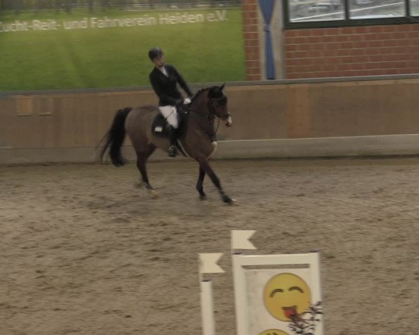 Reitturnier Heiden 2023
