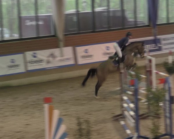 Reitturnier Heiden 2023