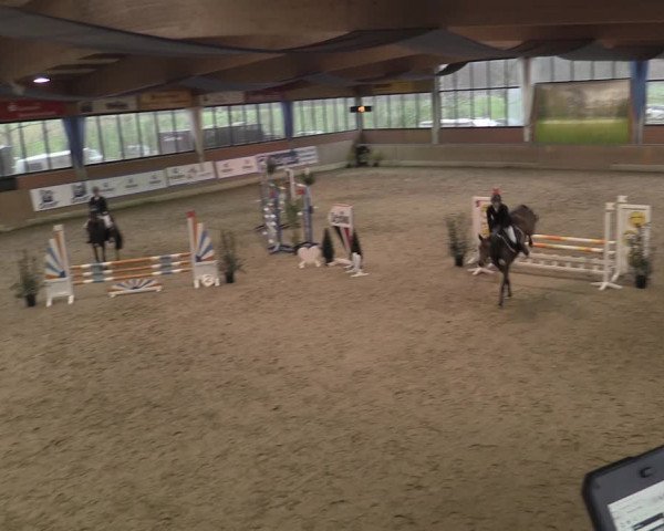 Reitturnier Heiden 2023