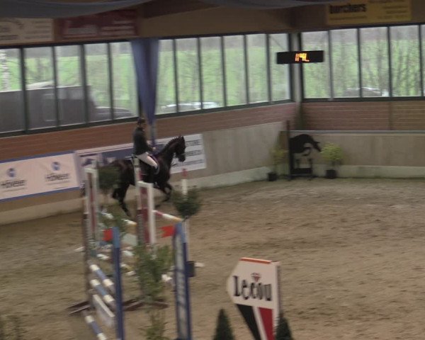 Reitturnier Heiden 2023