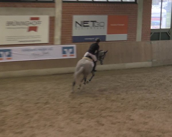 Reitturnier Heiden 2023